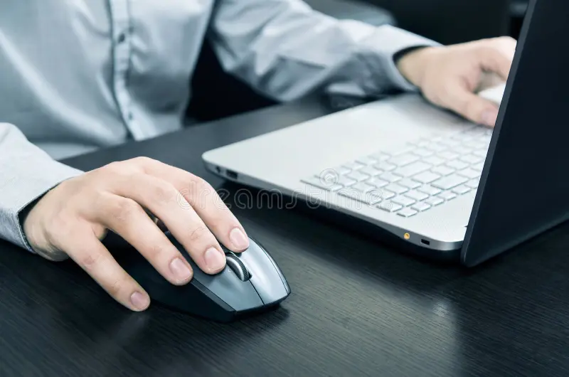 Essay Help Australia Essay Help Australia